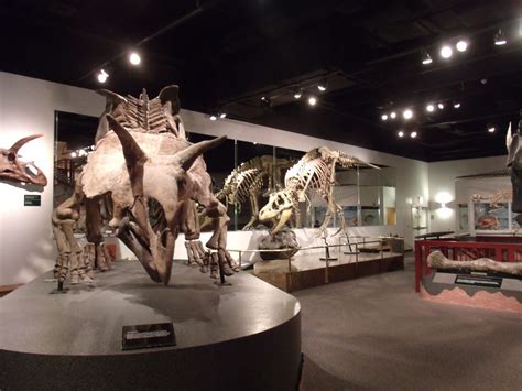 dinosaur museum america|20 Best Dinosaur Exhibits In America 2024 .